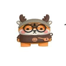 מגן AirPods Pro Dull Tigers